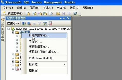 sql2008数据库绿色正式版