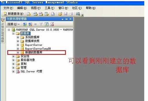 sql2008数据库绿色正式版