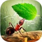 小蚂蚁部落  v2.2.4