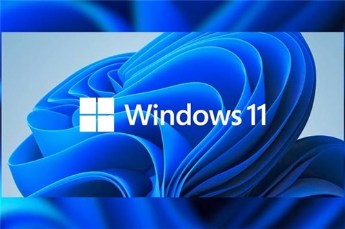 win10专业版怎么升级win11系统?win10专业版升级windows11教程