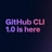 github  v1.0