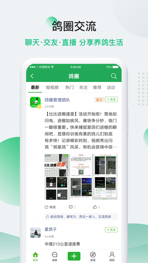 中国信鸽信息网免费下载