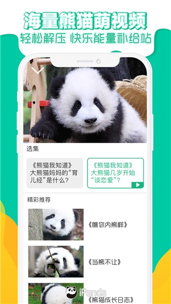 熊猫频道下载