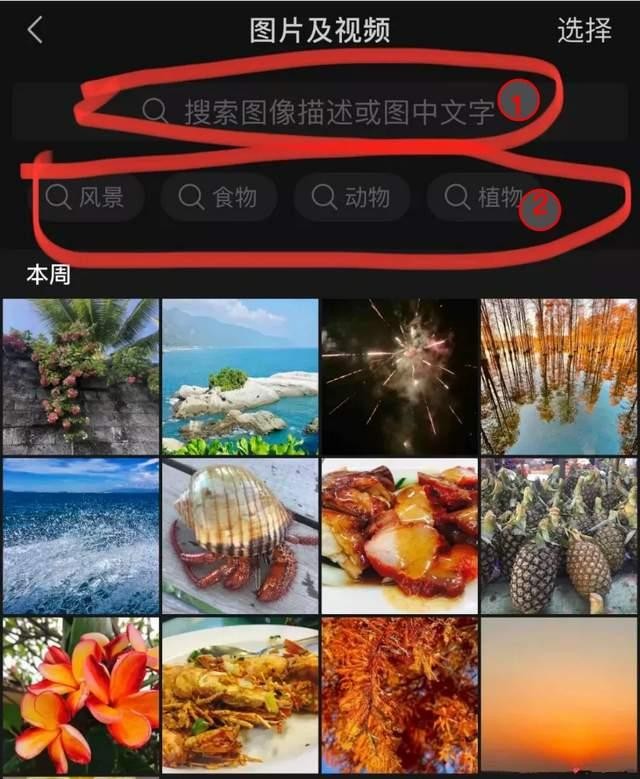 微信如何搜索图片记录?微信搜索图片怎么搜索方法图解