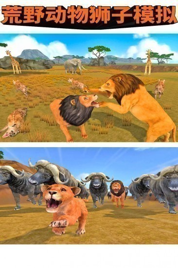 荒野动物狮子模拟游戏免费下载