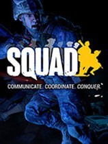 squad游戏中文版