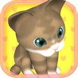 貓咪收藏  v1.0.0