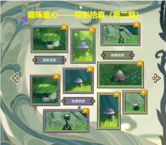 原神掠影拾真第二天攻略 原神掠影拾第二关拍照方法2