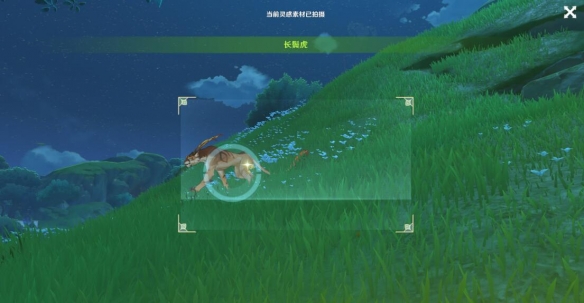 原神掠影拾真第一天怎么过?掠影拾真第一关拍摄点位置大全8