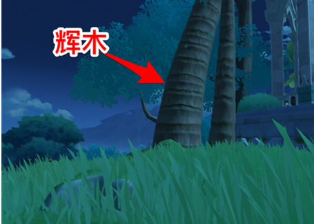 原神业果木采集点 原神业果木分布图一览2