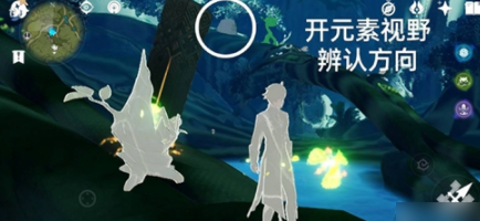 原神谒颂幽境珍贵宝箱/草神瞳怎么获得?在哪里?