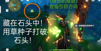 原神谒颂幽境珍贵宝箱/草神瞳怎么获得?在哪里?