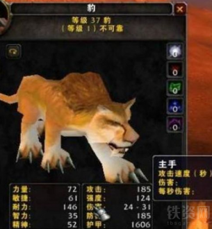 魔兽世界猎人宠物推荐 魔兽世界猎人必抓宝宝排行