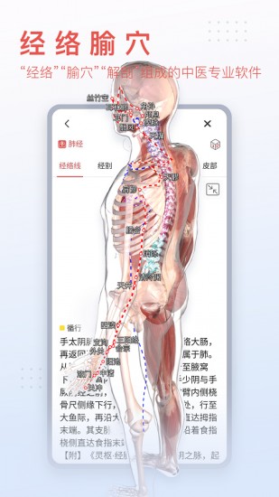 3dbody解剖免费下载