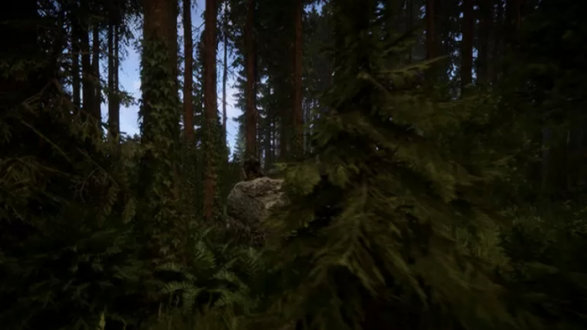 森林之子电脑版游戏