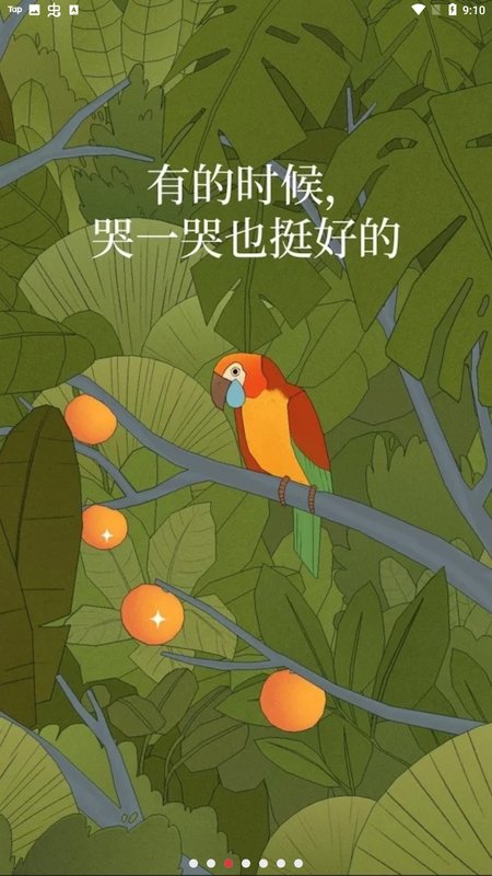 孤独的鸟儿中文版下载