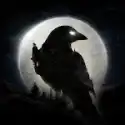夜鸦night crows国际服下载