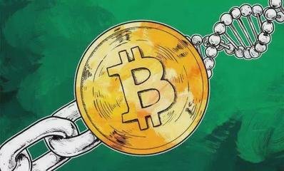 币coin交易所中文版下载