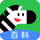 斑马百科app免费版