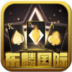 东麟棋盘手机版