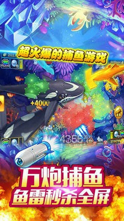 516棋盘